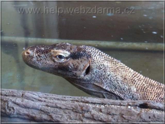 varan